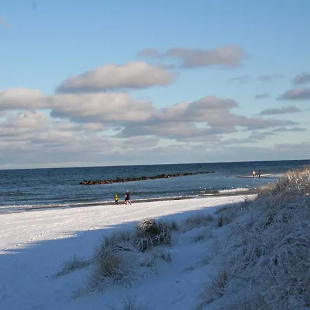 Alfredo * Wustrow (Fischland)